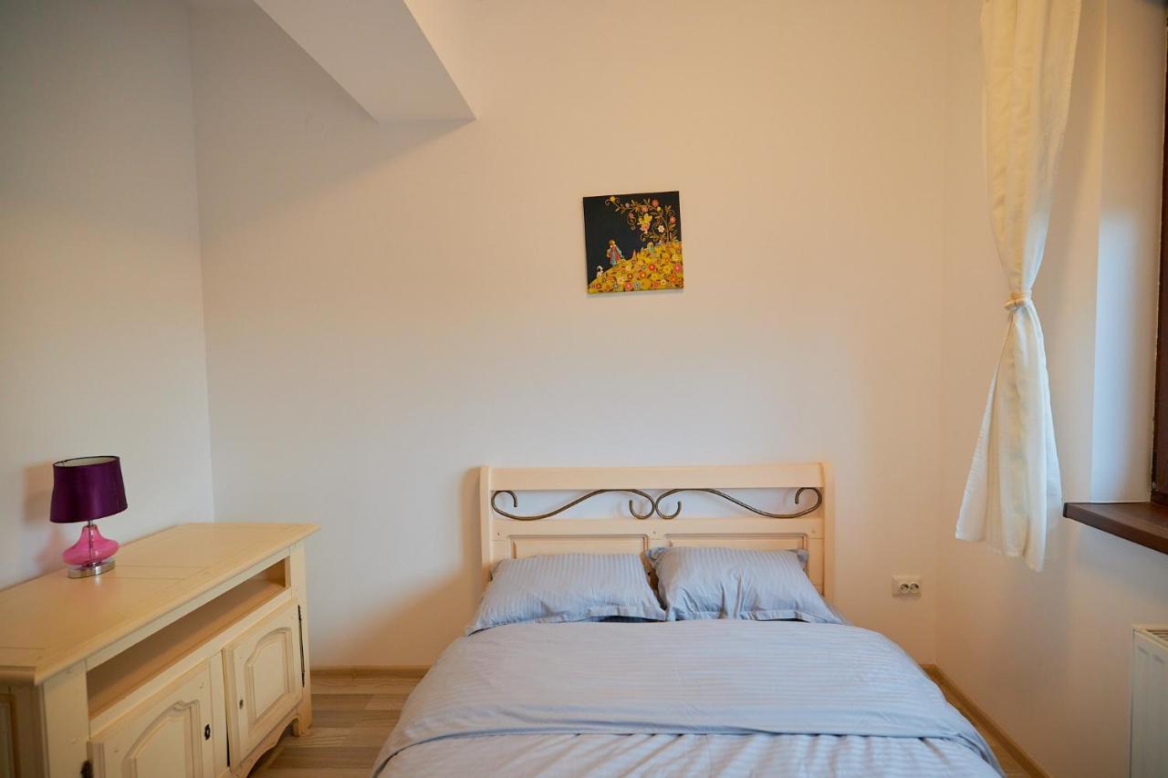 Cozy 3 Bedroom Apartments In Centre Of Iasi Palas Mall Exterior foto